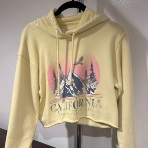 Hollister Cropped Hoodie